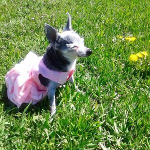 Meet your Posher, Larayn